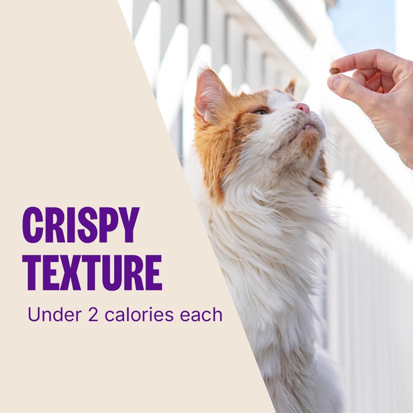 Kittles Crunchy Natural Grain Free Cat Treats, Chicken & Cranberry, 2-Ounce Bag