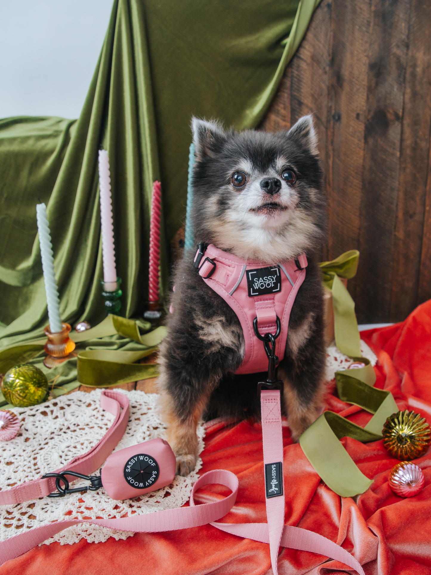 Dog Step-in Harness - Dusty Rose