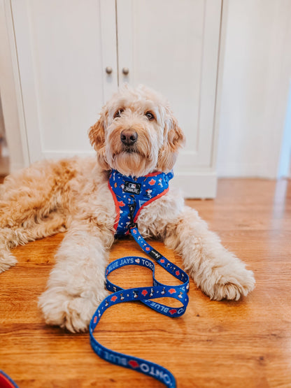 Dog Leash - MLB™ x Peanuts™ Toronto Blue Jays™