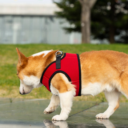 Mr. Peanut's PupTrek Soft Mesh Pet Harness with Matching Leash – Adjustable, Breathable, Choke-Free