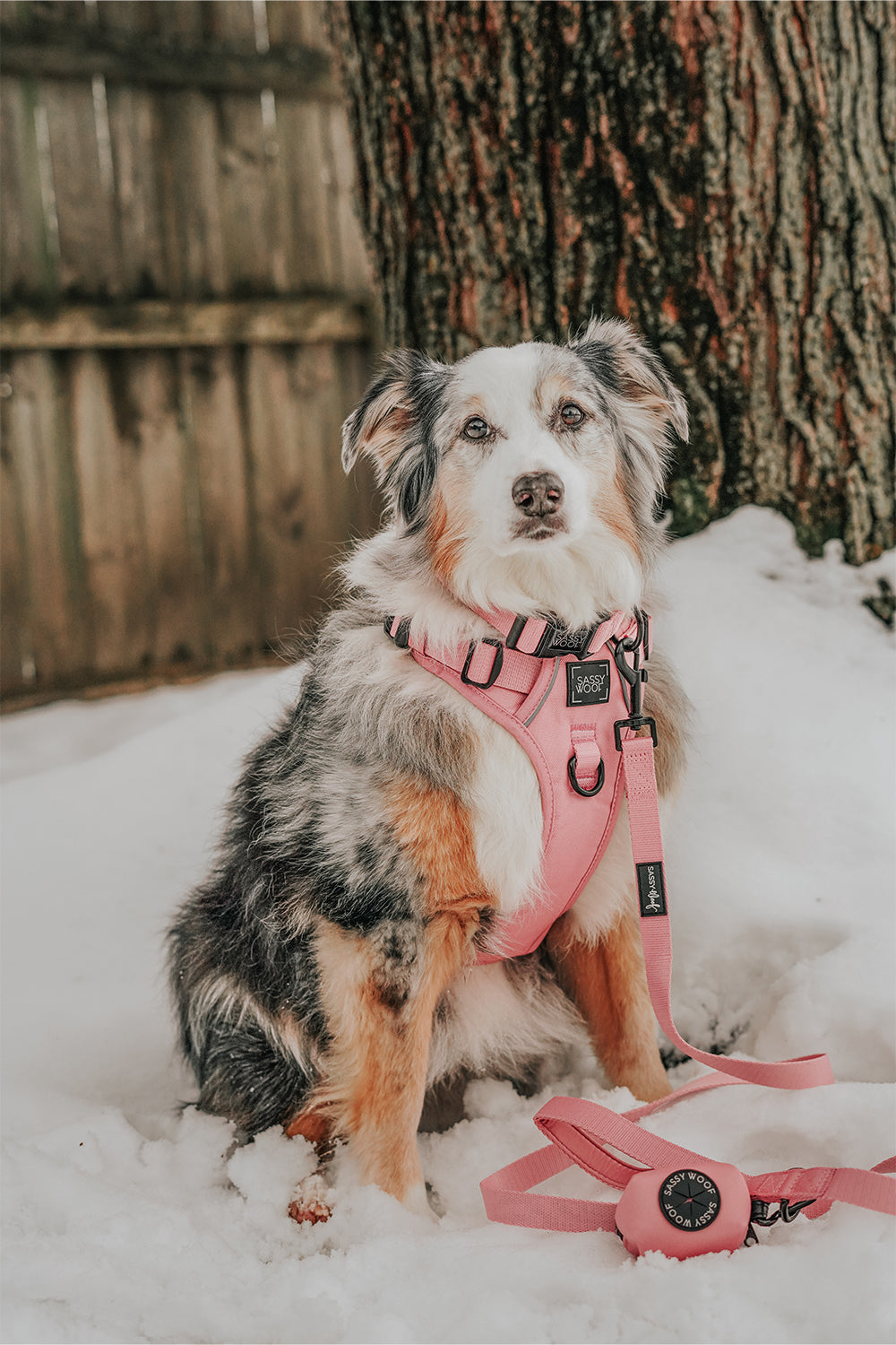 Dog Step-in Harness - Dusty Rose