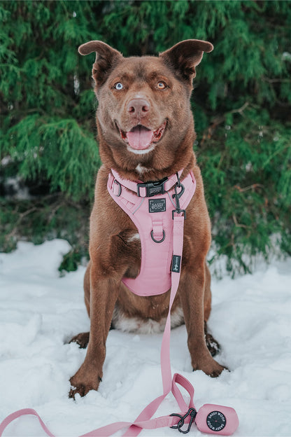 Dog Step-in Harness - Dusty Rose