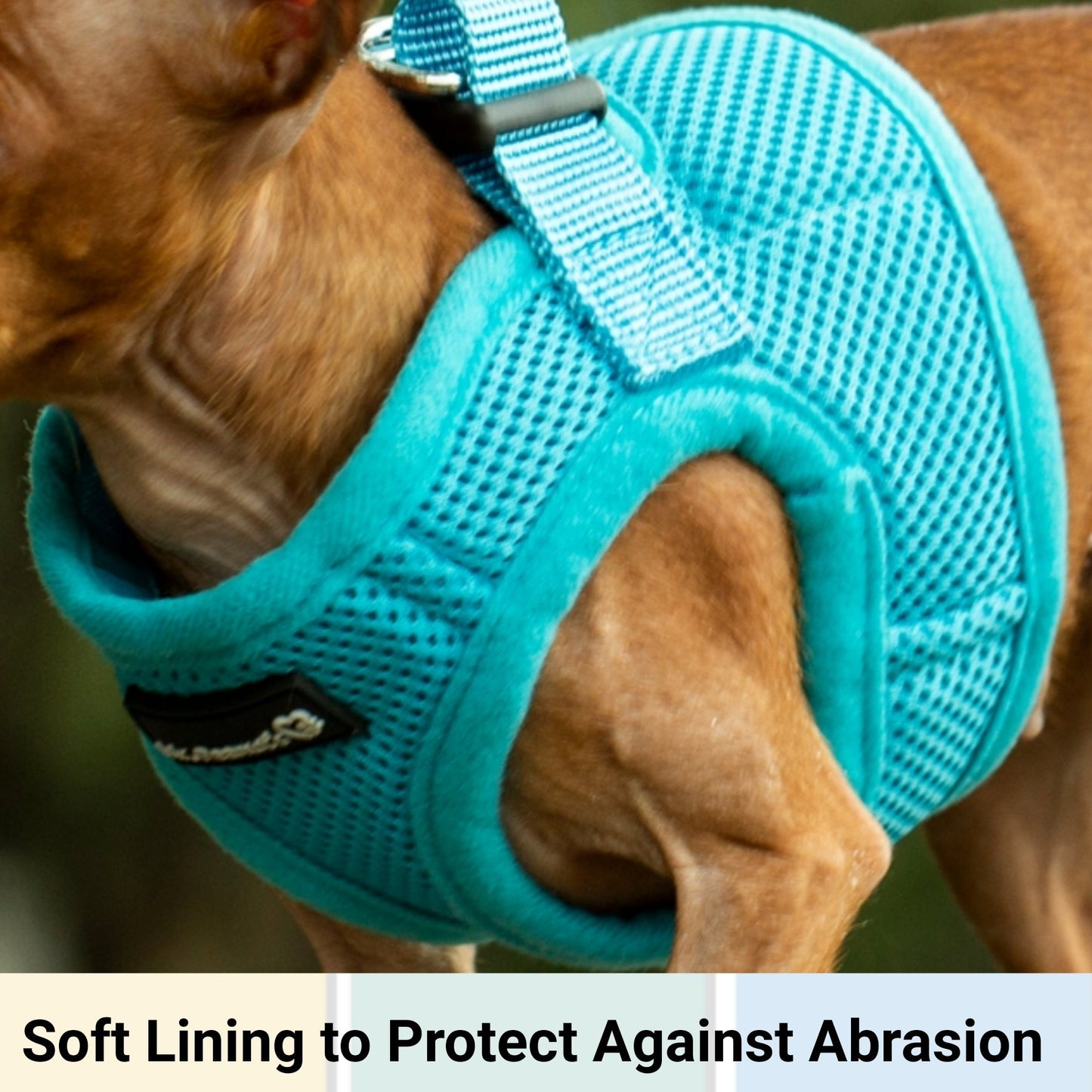 Mr. Peanut's PupTrek Soft Mesh Pet Harness with Matching Leash – Adjustable, Breathable, Choke-Free